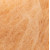 009 apricot