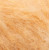 034 apricot